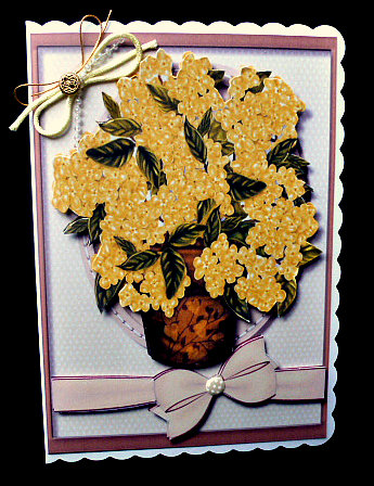 Beautiful Pot of Mimosa  by Diane  Hitchcox