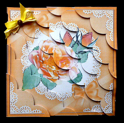8 x 8 Rose and Lace Kit with Scalloped Corners by Diane  Hitchcox