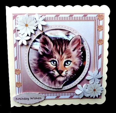Beautiful Wildcat Kitten  by Diane  Hitchcox