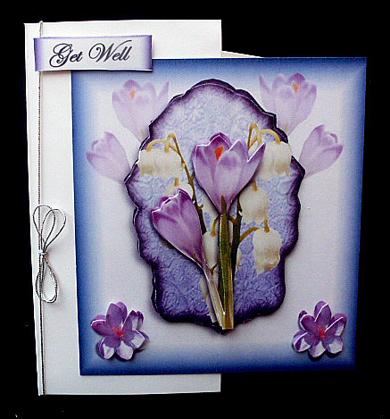 Spring Flowers by Diane  Hitchcox