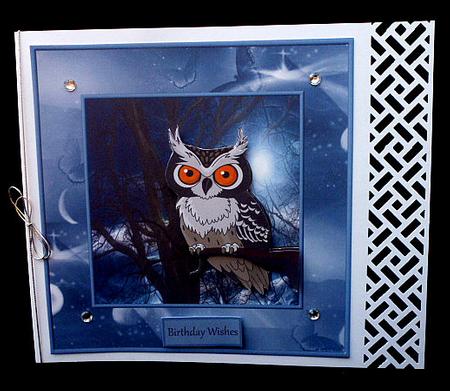 Night Owl in the Moonlight Card by Diane  Hitchcox