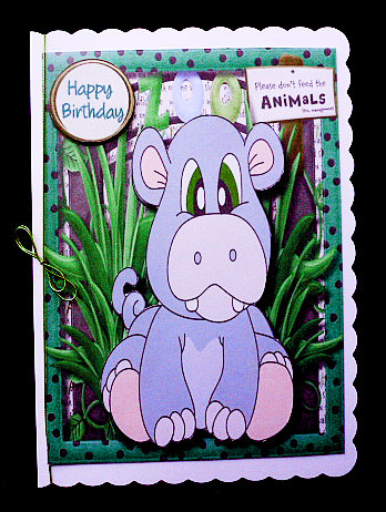 Hippo's Birthday at the Zoo by Diane  Hitchcox