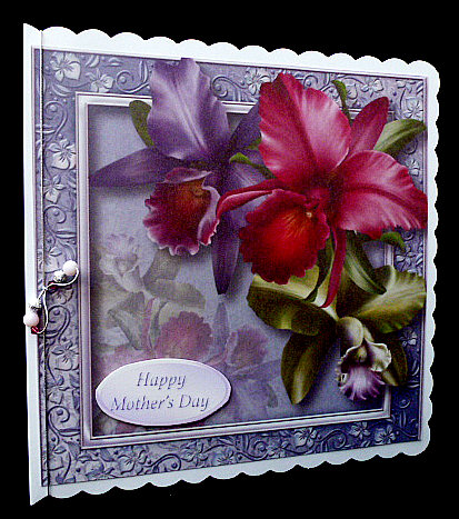Gorgeous Tropical Orchids 8x8 Quick Topper by Diane  Hitchcox