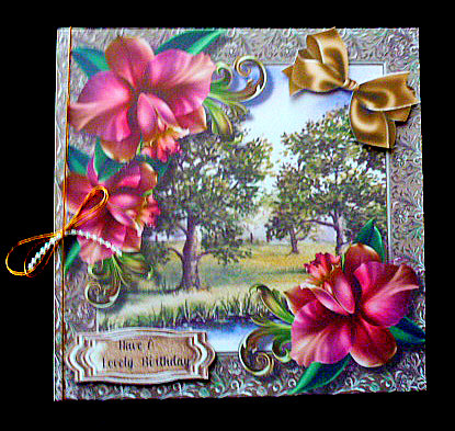 Beautiful Orchids in the Orchid  by Diane  Hitchcox