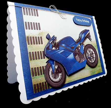 Beautiful Blue Ducati Bike  by Diane  Hitchcox