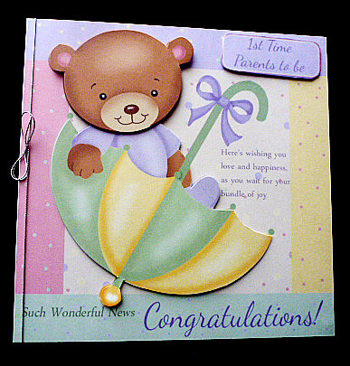 A Beary Special Pregnancy, Mini Kit by Diane  Hitchcox