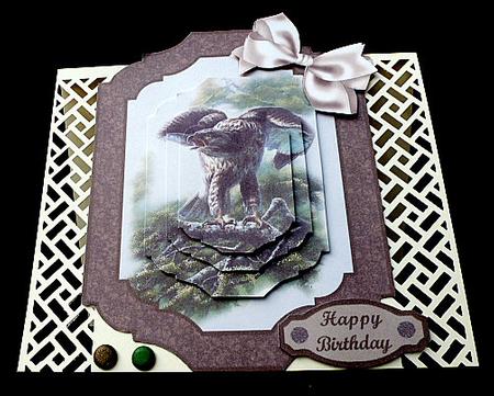 Bird Card Front (5) by Diane  Hitchcox