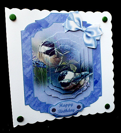 Bird Card Front (10) by Diane  Hitchcox