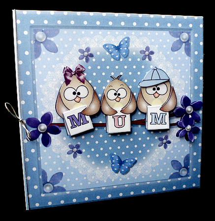 Mum Owls by Diane  Hitchcox