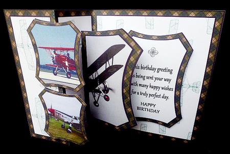 Fold Back Pop-up Old Planes by Diane  Hitchcox