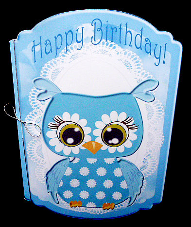 Pretty Turq Owl in Flowers on Lace Quick Card by Diane  Hitchcox