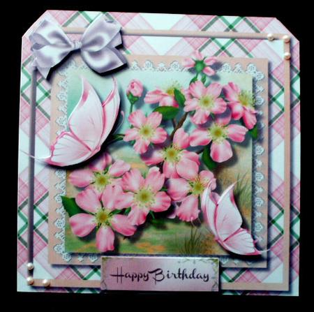 Beautiful Peach Blosson and Butterfly's by Diane  Hitchcox