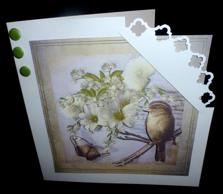 Three Lovely Signs of Summer by Diane  Hitchcox