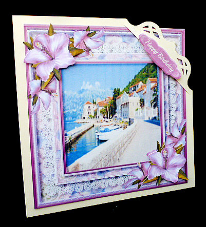 Beautiful Scene and Hibiskus by Diane  Hitchcox