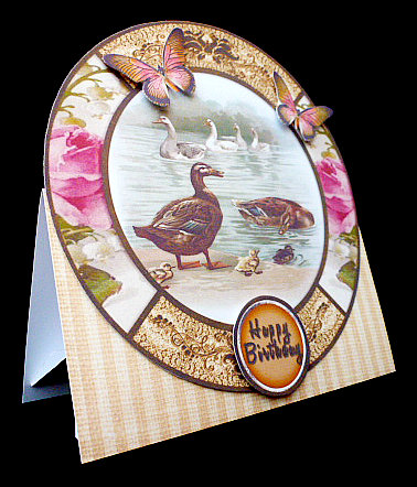 Ducks with Babies and Swans on the Sea 206 by Diane  Hitchcox
