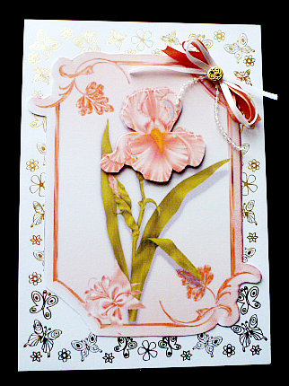 Peach Iris Mothers Day / Birthday by Diane  Hitchcox