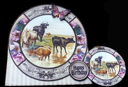 Round Over the Top Card Cows 220 by Diane  Hitchcox