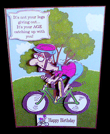 The Age of the Bicycle by Diane  Hitchcox