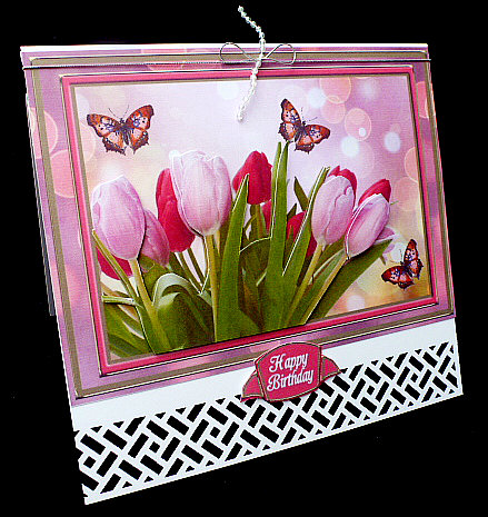 Pink & Red Tulips by Diane  Hitchcox