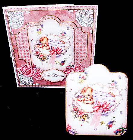 Baby Girl New Arrival Special 8in Tag N' Envelope Kit by Diane  Hitchcox