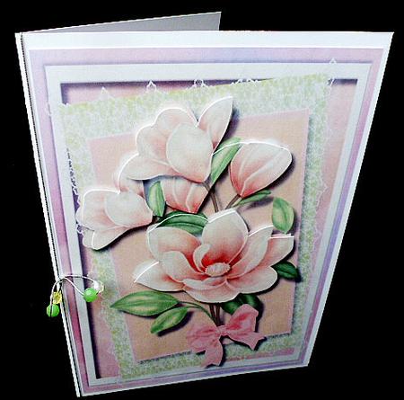 Lovely Magnolias in Pink  by Diane  Hitchcox