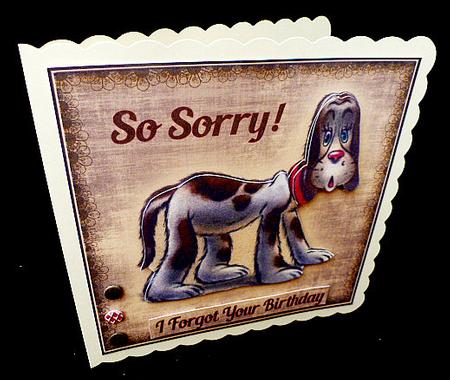 Sorry Hound by Diane  Hitchcox