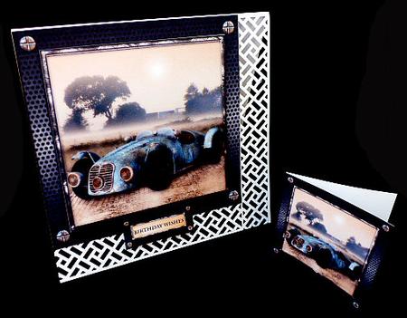 The Forgotten Race Car by Diane  Hitchcox