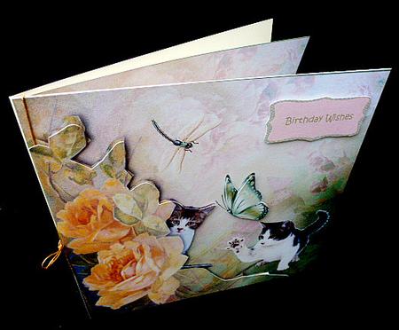 Cats and Flowers by Diane  Hitchcox