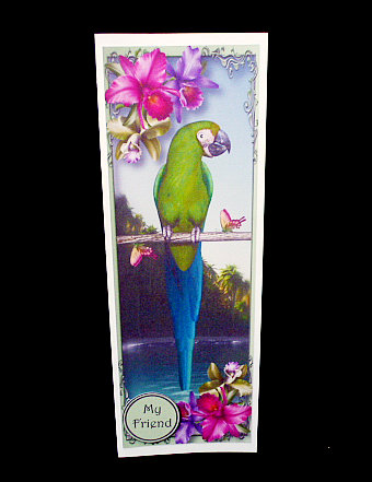 Tropical Green Parrot Large Dl by Diane  Hitchcox