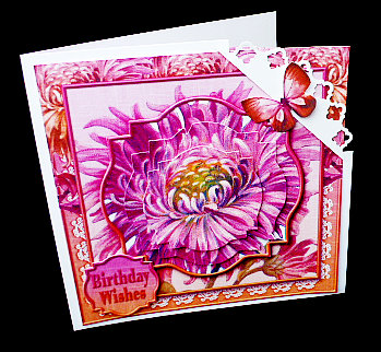 Cardtopper Aster Orange Pink 283 by Diane  Hitchcox