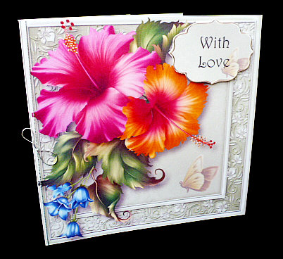 Beautiful Hibiscus in Pink & Peach 8x8 Quick Topper by Diane  Hitchcox