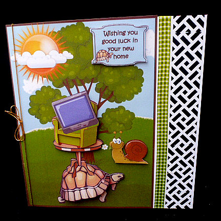 Tortoise Moves House by Diane  Hitchcox