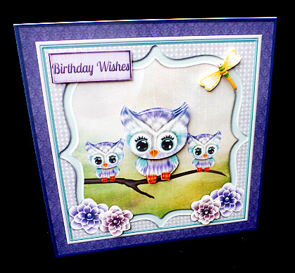 Little Owl Family by Diane  Hitchcox