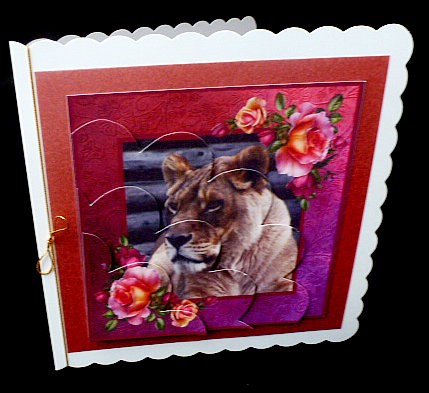 Lioness Framed Shell Edged Corner Stacker by Diane  Hitchcox