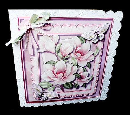 Beautiful Pink Magnolias and Butterfly's by Diane  Hitchcox
