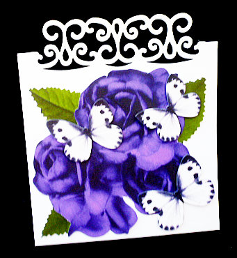 Prpretty Purple Roses and White Butterflies Green Leaves A4 by Diane  Hitchcox