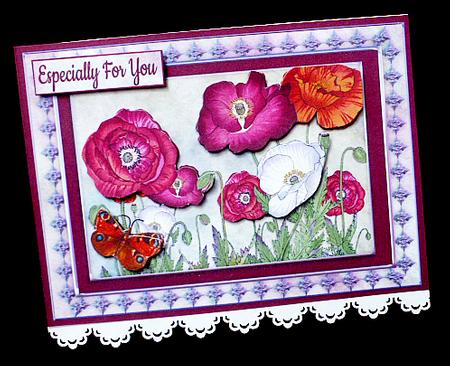 Mixed Poppies by Diane  Hitchcox