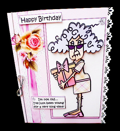 Stella's Not Old by Diane  Hitchcox