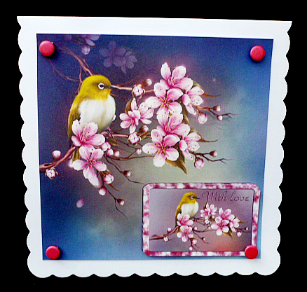 Bird Song by Diane  Hitchcox
