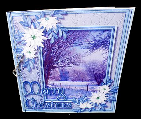 Beautiful Snow Covered Fields and Poinsettias  by Diane  Hitchcox