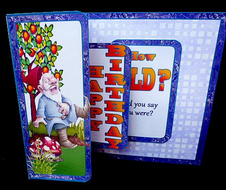 Fold Back Pop-up How Old? by Diane  Hitchcox