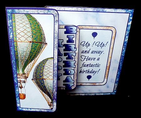 Fbp Hot Air Balloons by Diane  Hitchcox