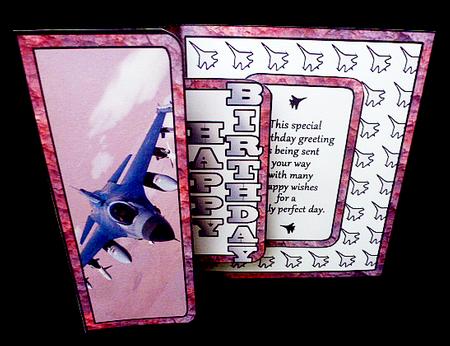 Fbp Fighter Plane by Diane  Hitchcox