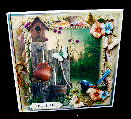 The Bird House Card Front Kit by Diane  Hitchcox