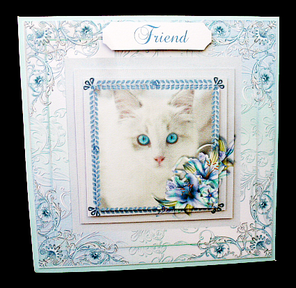 Little Luna Pyramage by Diane  Hitchcox