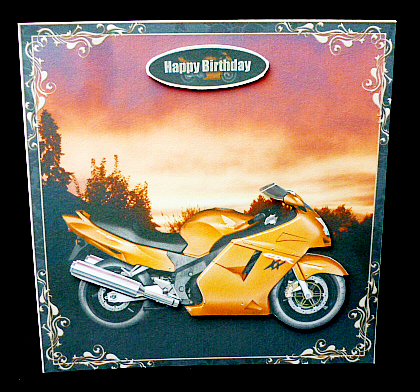 Sunset Biker by Diane  Hitchcox