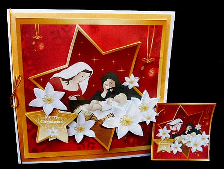 Christmas Nativity Red by Diane  Hitchcox