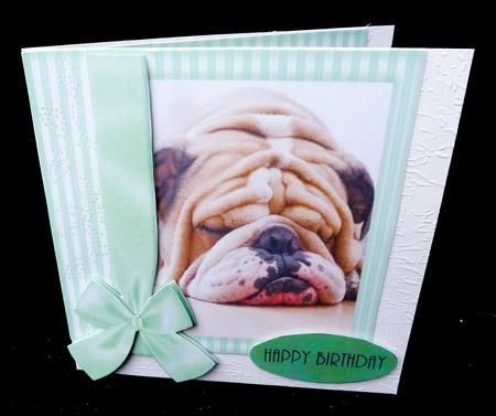 Dog in Green Frame 8x8 by Diane  Hitchcox