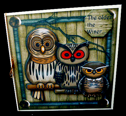 Mini Kit Wise Owls Male Card by Diane  Hitchcox