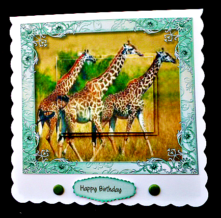 Lovely Giraffes in the Wild by Diane  Hitchcox